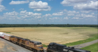 (Photograph Courtesy of NS)