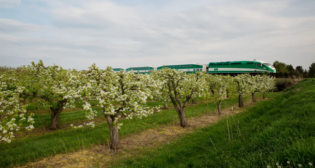 Go Transit union employees have voted to strike if an agreement on a new contract cannot be reached with parent agency Metrolinx.
