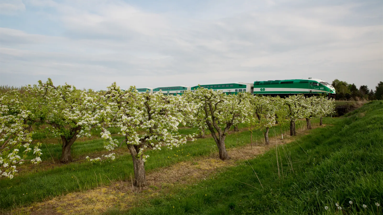 Go Transit union employees have voted to strike if an agreement on a new contract cannot be reached with parent agency Metrolinx.