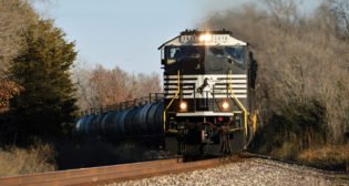 (Photograph Courtesy of NS)