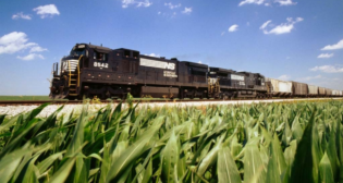 (Photograph Courtesy of NS)