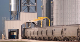 (Photograph Courtesy of NS)