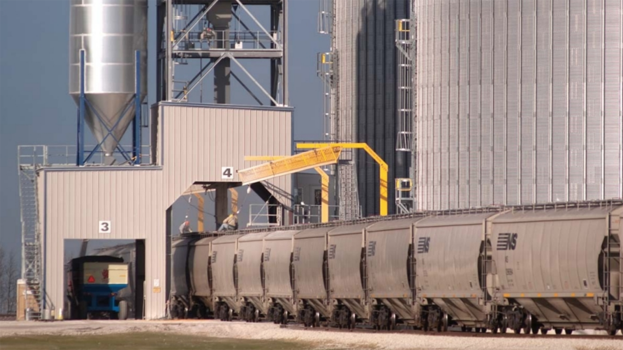 (Photograph Courtesy of NS)