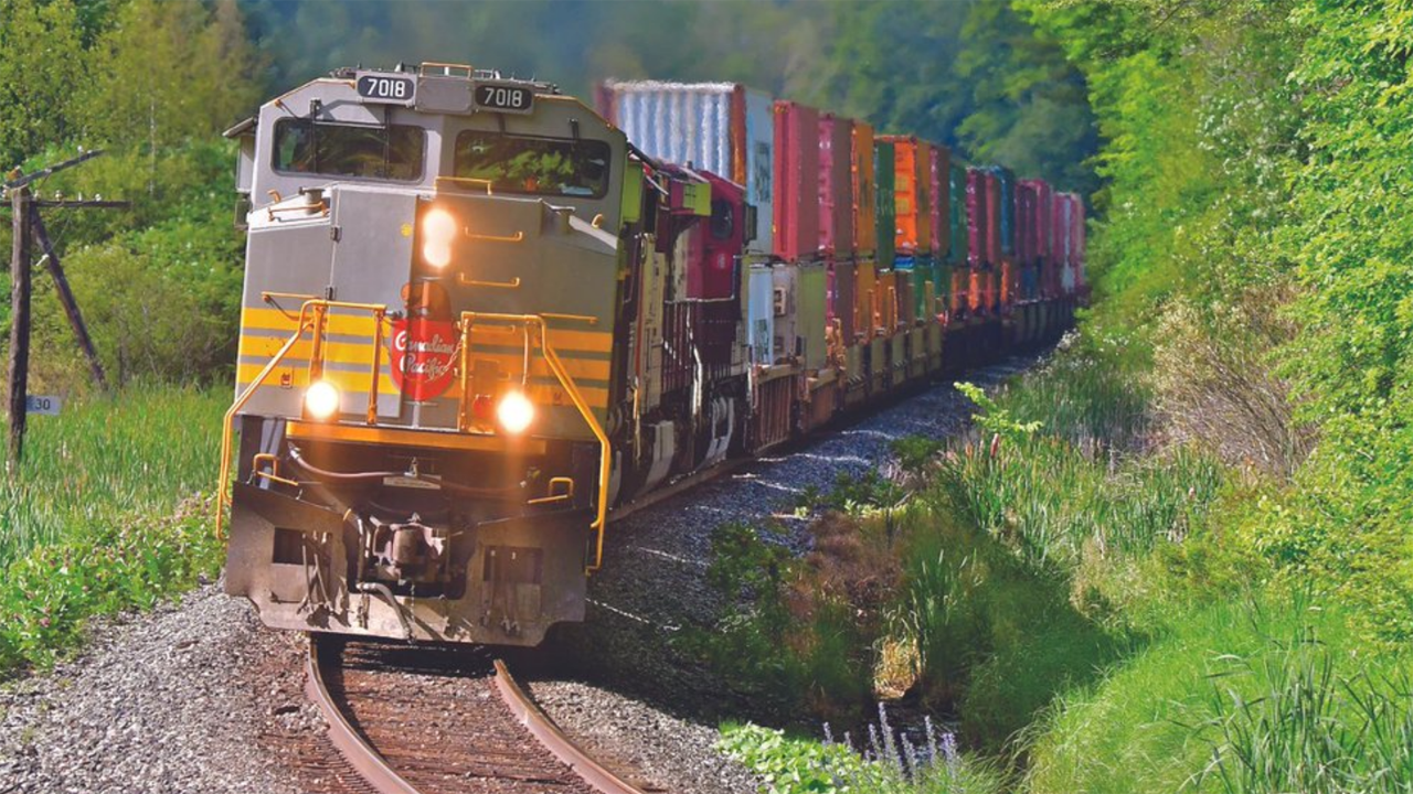 (Photograph Courtesy of CP via Twitter)