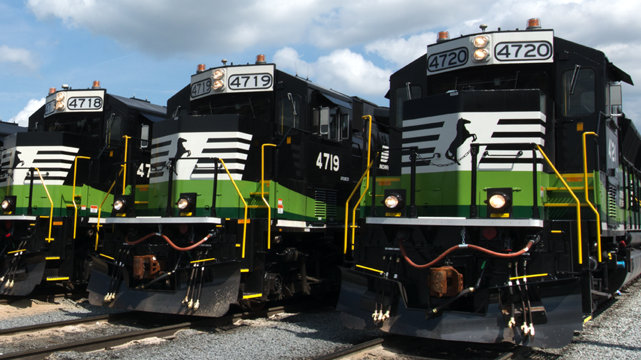 (Photograph Courtesy of NS)