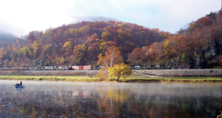 (Photograph Courtesy of NS)