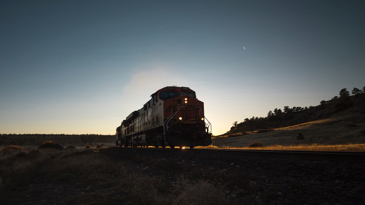 (Steve Halama, Unsplash)