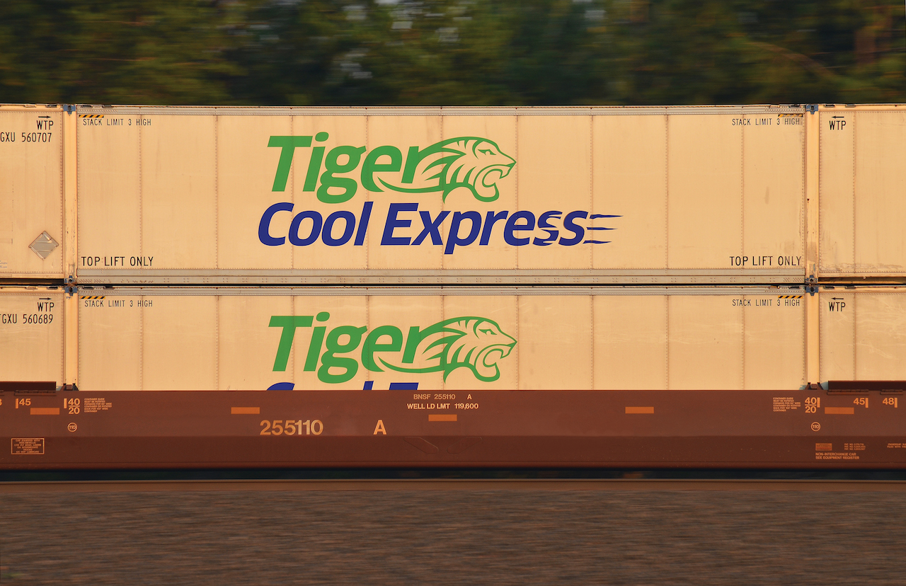 Photo by Bruce Kelly