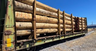 Raw timber awaiting shipment.