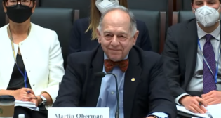 Screenshot from an STB hearing on rail service.