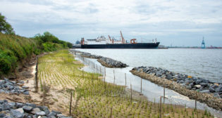 Living shoreline restoration project at Lamberts Point.