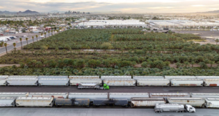 Blue Hesper palm trees grow alongside Union Pacific rails at the Phoenix Transload Facility, where they have coexisted with rail for more than 30 years. (Caption and Photograph Courtesy of UP)