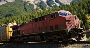 (Photograph Courtesy of NRLC)