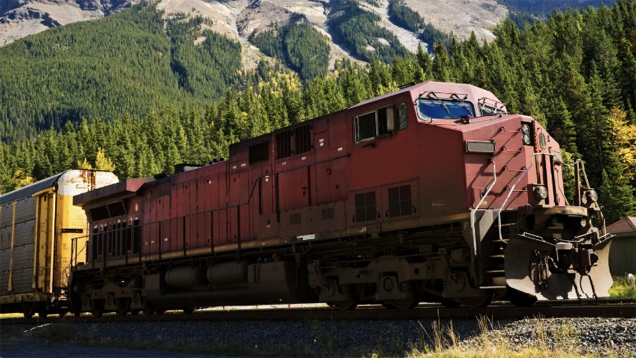 (Photograph Courtesy of NRLC)