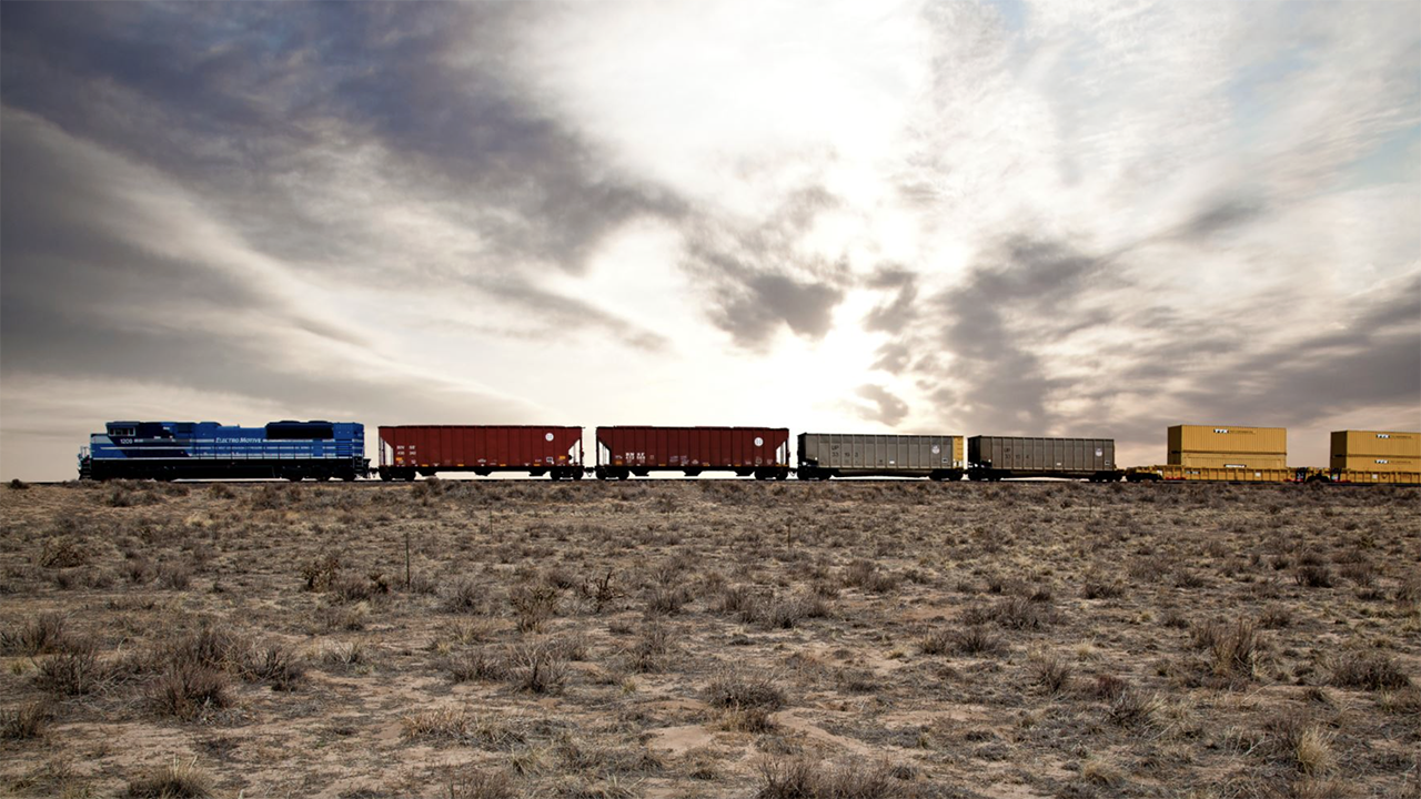 (Photograph Courtesy of NRLC)