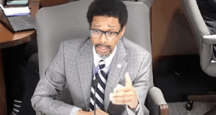 Robert E. Primus (Screen Grab from Government Hearing)