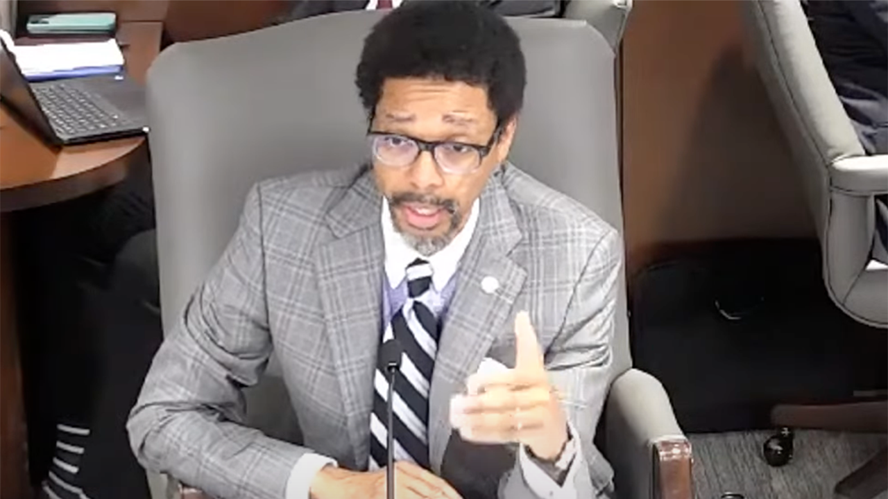 Robert E. Primus (Screen Grab from Government Hearing)